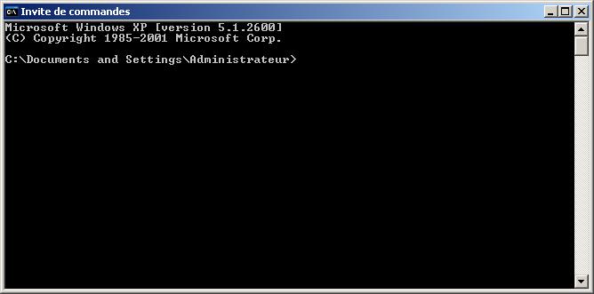 X Terminal